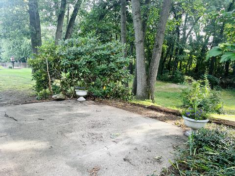 9201 Alidor Rd, Schoolcraft, MI 49087 photo 28