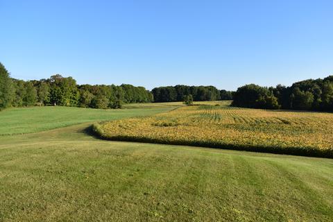 2164 E Wilson Rd, Custer, MI 49405 photo 30