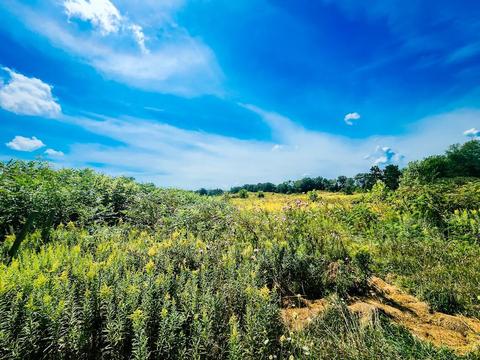 815 Lester Rd, Reading, MI 49274 photo 42