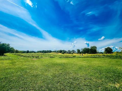 815 Lester Rd, Reading, MI 49274 photo 51