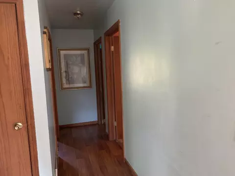 955 56th St, Pullman, MI 49450 photo 9