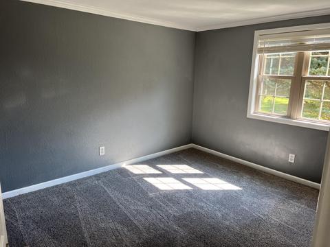 62137 Youngs Prairie Rd, Constantine, MI 49042 photo 6