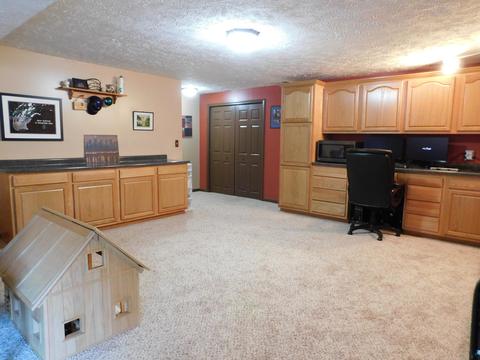 11035 W Cutler Rd, Eagle, MI 48822 photo 30