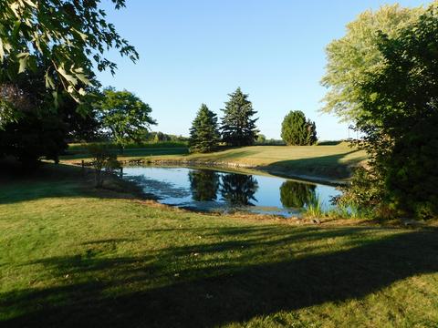 11035 W Cutler Rd, Eagle, MI 48822 photo 43