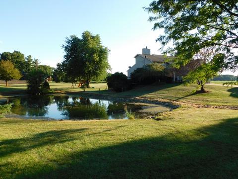 11035 W Cutler Rd, Eagle, MI 48822 photo 37
