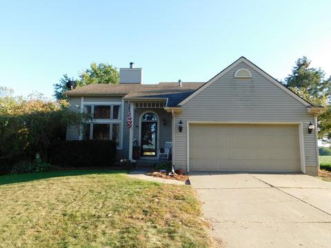 11035 W Cutler Rd, Eagle, MI 48822 photo 35