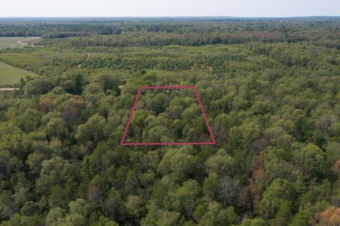 7364 S James Rd, Baldwin, MI 49304 photo 20