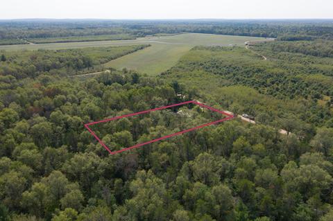 7364 S James Rd, Baldwin, MI 49304 photo 22