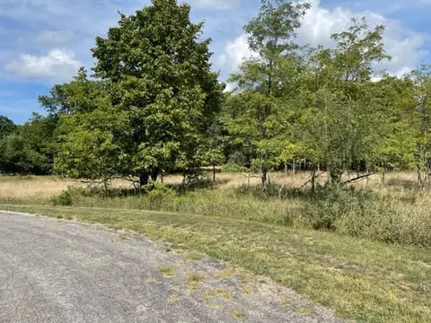 Willow, Manistee, MI 49660 photo 2