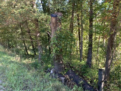 9040 Comstock Ave, Bitely, MI 49309 photo 49