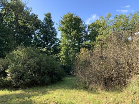 9040 Comstock Ave, Bitely, MI 49309 photo 41