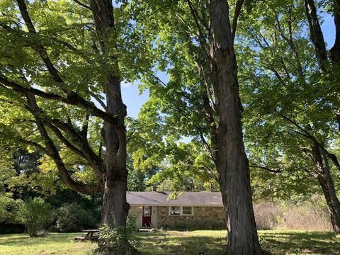 9040 Comstock Ave, Bitely, MI 49309 photo 53