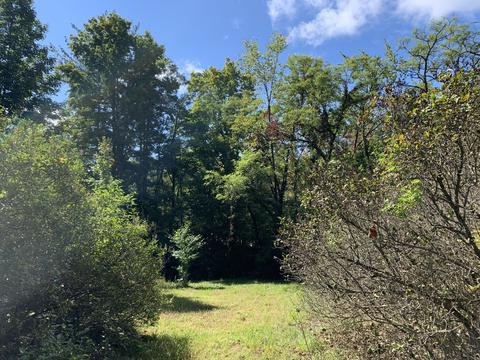 9040 Comstock Ave, Bitely, MI 49309 photo 44