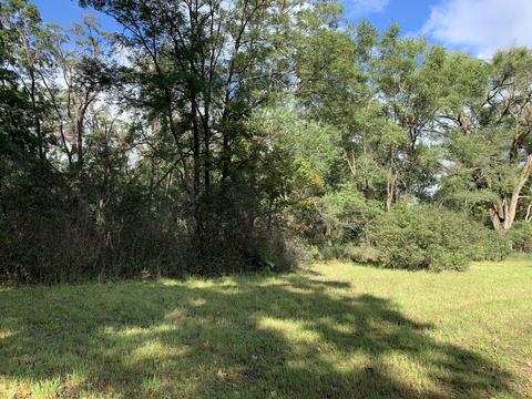 9040 Comstock Ave, Bitely, MI 49309 photo 45