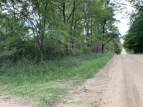 9040 Comstock Ave, Bitely, MI 49309 photo 60