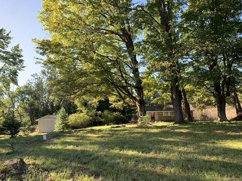 9040 Comstock Ave, Bitely, MI 49309 photo 40