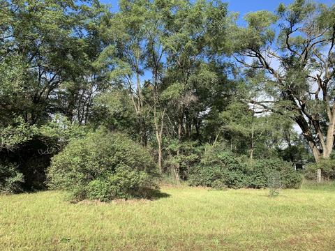 9040 Comstock Ave, Bitely, MI 49309 photo 42