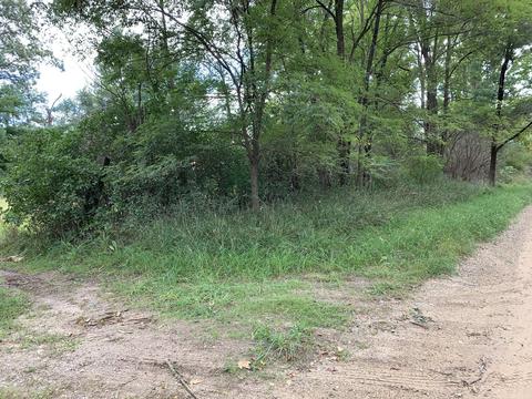 9040 Comstock Ave, Bitely, MI 49309 photo 61