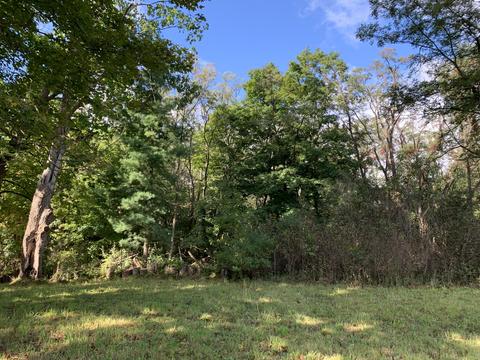 9040 Comstock Ave, Bitely, MI 49309 photo 43