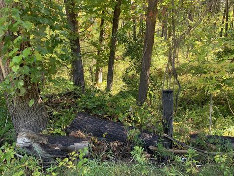 9040 Comstock Ave, Bitely, MI 49309 photo 48