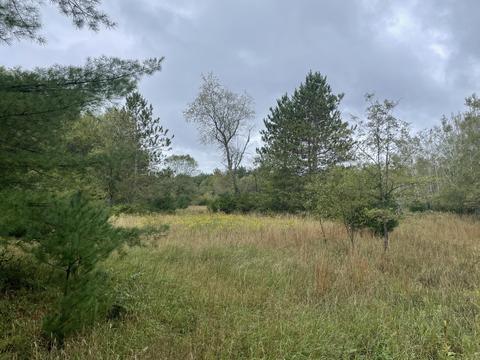 769 S Pine Ave, White Cloud, MI 49349 photo 32