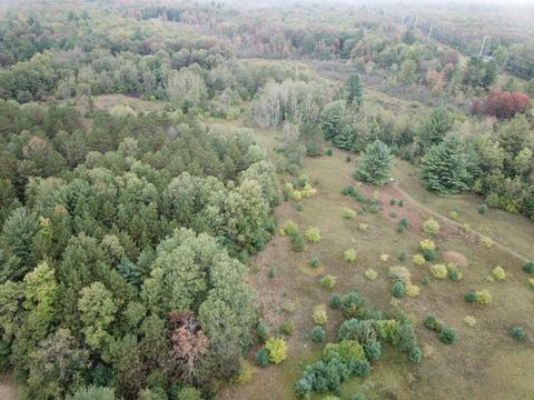 769 S Pine Ave, White Cloud, MI 49349 photo 25