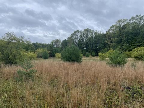 769 S Pine Ave, White Cloud, MI 49349 photo 31