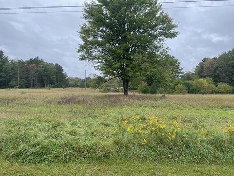 769 S Pine Ave, White Cloud, MI 49349 photo 39