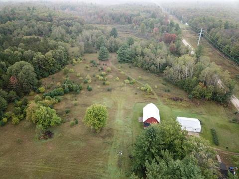 769 S Pine Ave, White Cloud, MI 49349 photo 26