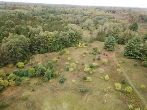 769 S Pine Ave, White Cloud, MI 49349 photo 27