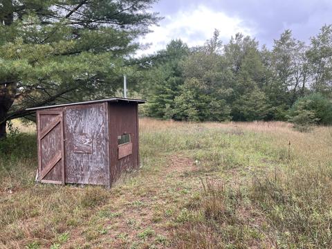 769 S Pine Ave, White Cloud, MI 49349 photo 34