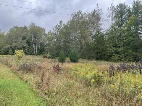 769 S Pine Ave, White Cloud, MI 49349 photo 37