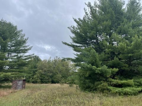 769 S Pine Ave, White Cloud, MI 49349 photo 33