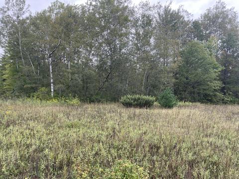 769 S Pine Ave, White Cloud, MI 49349 photo 41