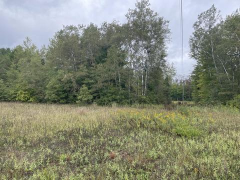 769 S Pine Ave, White Cloud, MI 49349 photo 42