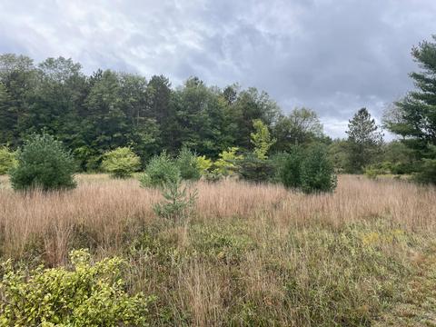 769 S Pine Ave, White Cloud, MI 49349 photo 35