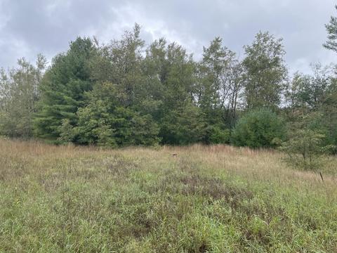 769 S Pine Ave, White Cloud, MI 49349 photo 40