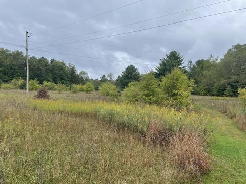 769 S Pine Ave, White Cloud, MI 49349 photo 36