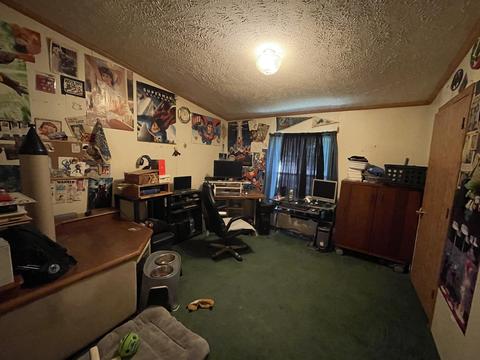5121 W Jack Pine Dr, Grant, MI 49327 photo 16