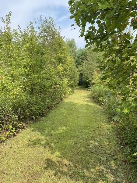 16620 Runyon Rd, Buchanan, MI 49107 photo 25