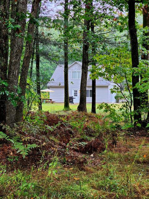 3838 S Summer Ave, White Cloud, MI 49349 photo 2