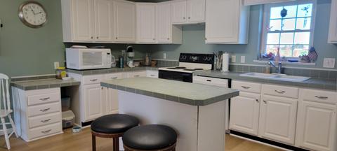 3114 NE Fleck Rd NE, Edmore, MI 48829 photo 3