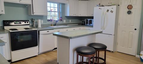 3114 NE Fleck Rd NE, Edmore, MI 48829 photo 2