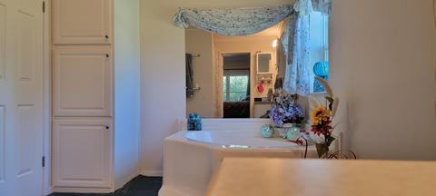3114 NE Fleck Rd NE, Edmore, MI 48829 photo 8