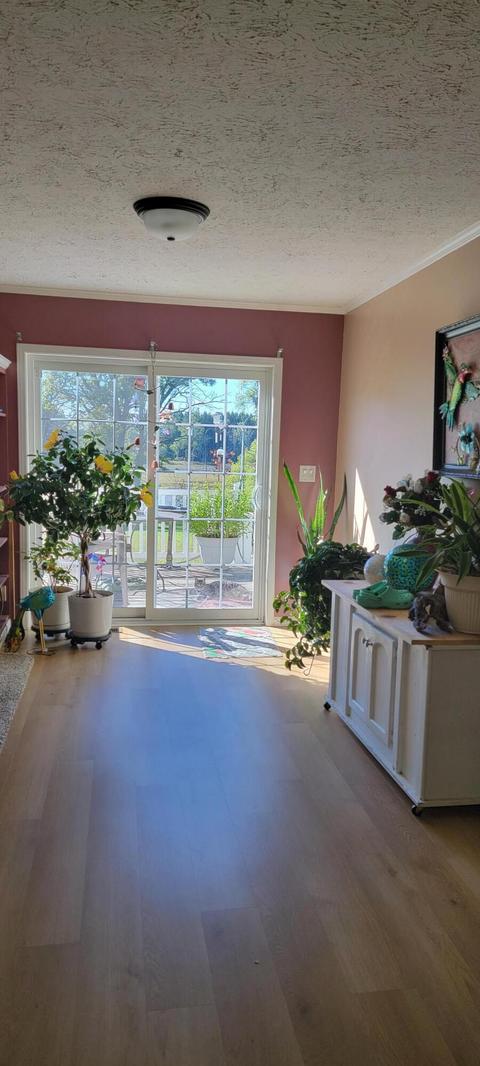 3114 NE Fleck Rd NE, Edmore, MI 48829 photo 17