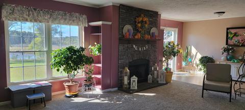 3114 NE Fleck Rd NE, Edmore, MI 48829 photo 4
