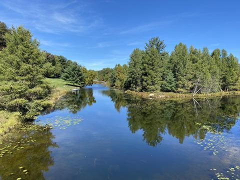 9220 Ranger Dr #9, Canadian Lakes, MI 49346