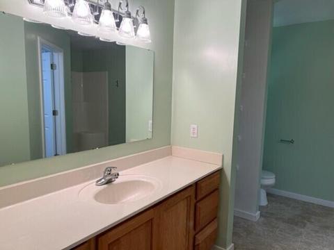 5443 Flat River Trl, Belding, MI 48809 photo 19