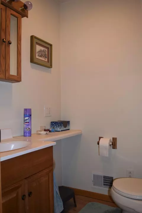 9694 Krupp Rd, Belding, MI 48809 photo 5