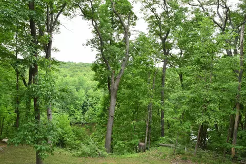 9694 Krupp Rd, Belding, MI 48809 photo 17